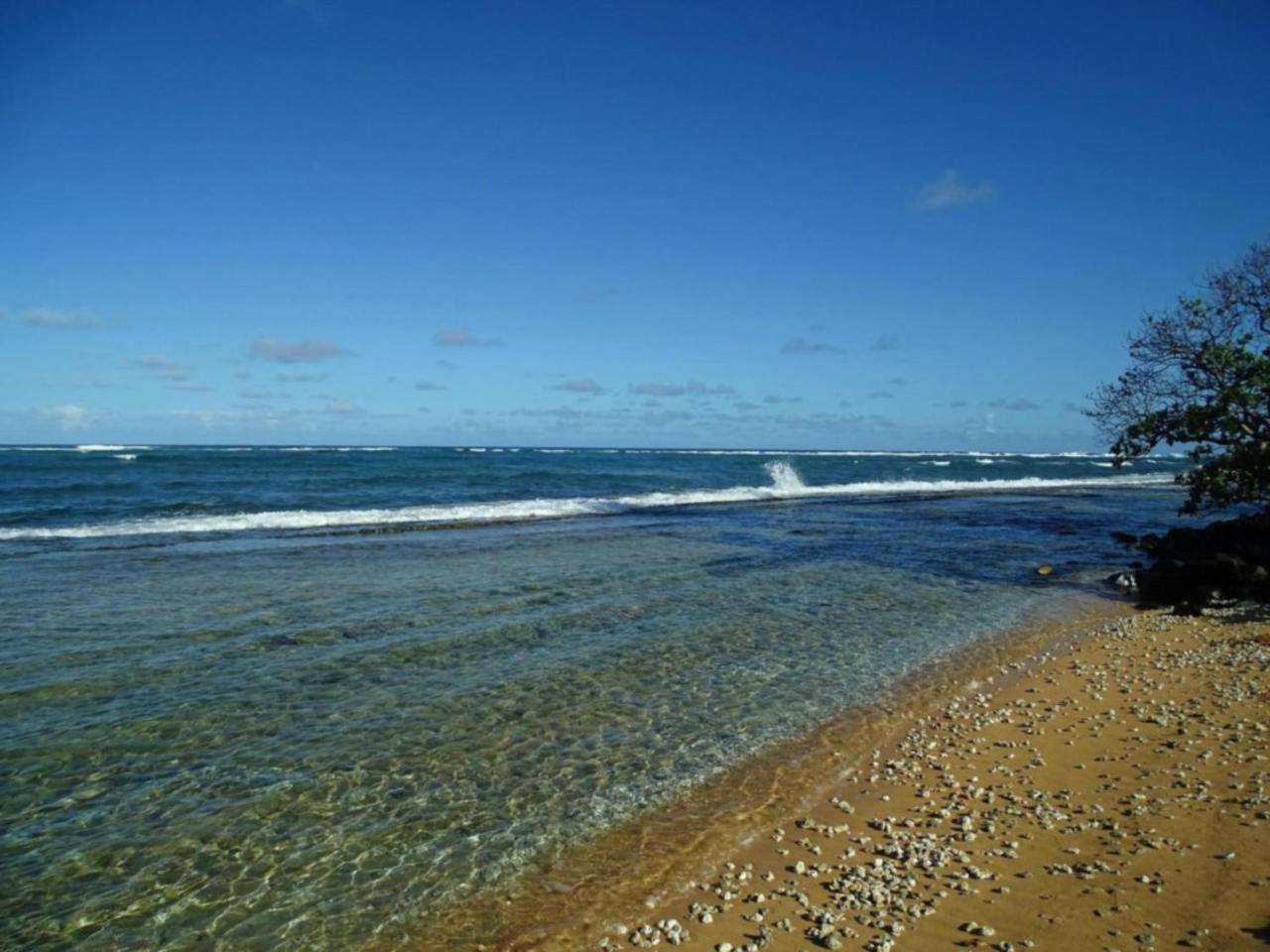 Kapaa Shores | Pristine Beach Kauai Kültér fotó
